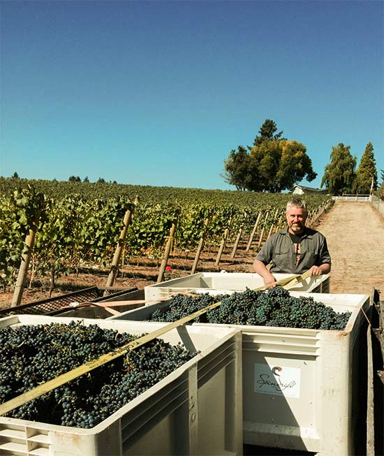 Matt Compton in Bovine Vineyard